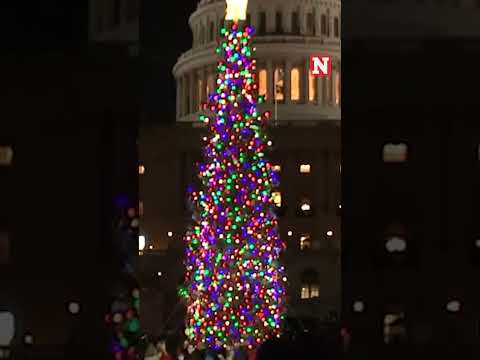 Speaker Mike Johnson Lights 53-Foot Capitol Christmas Tree