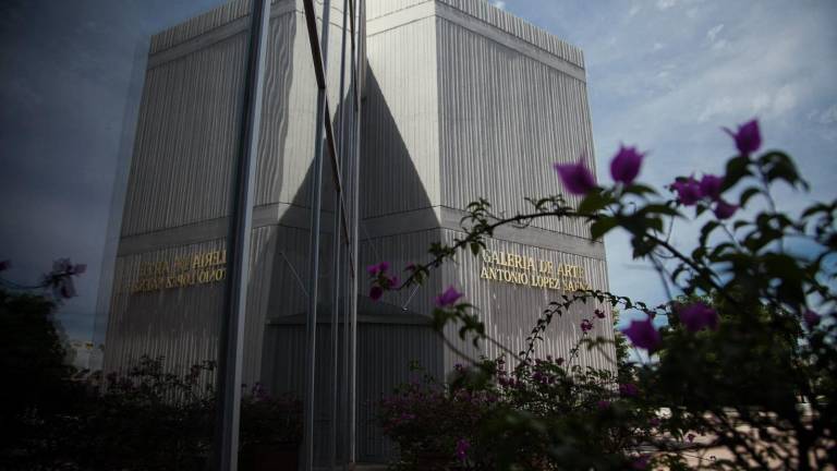 El jueves 11, expondrán beneficiarios del PECDAS 2024, en la GAALS