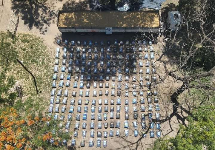 Norte salteño | Secuestran casi cinco toneladas de hojas de coca ocultas en cargamento de soja