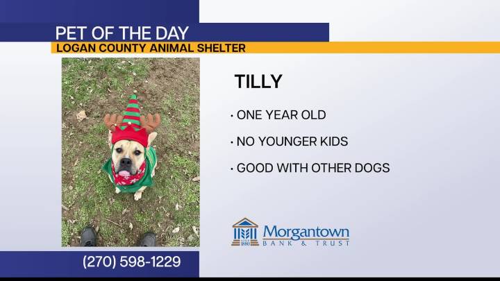 Pet of the Day: Tilly