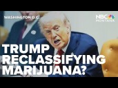 Trump reportedly leaning toward reclassifying marijuana to less restricted status