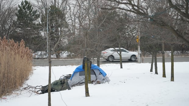 Demand in local shelters already on the rise, as Windsor