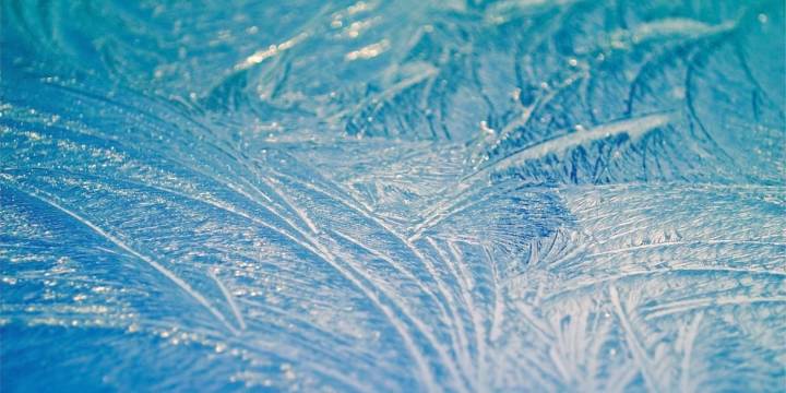 Humane Society of South MS opening shelter for vulnerable pets ahead of cold snap