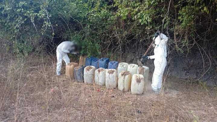 Golpe de 368 MDP a la Delincuencia: Decomisan Sustancias para Drogas en Operativo Frontera Norte