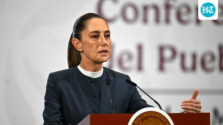 Mexico announces up to 50% tariffs on goods from India, other Asian nations