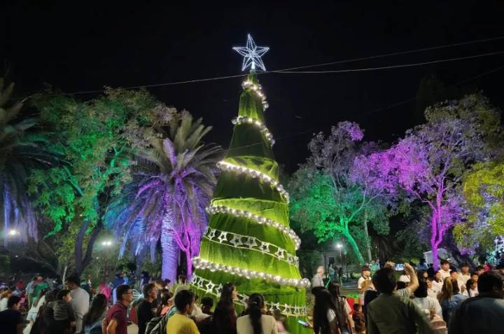 Añatuya encendió su Árbol de Navidad en pleno centro de la ciudad
