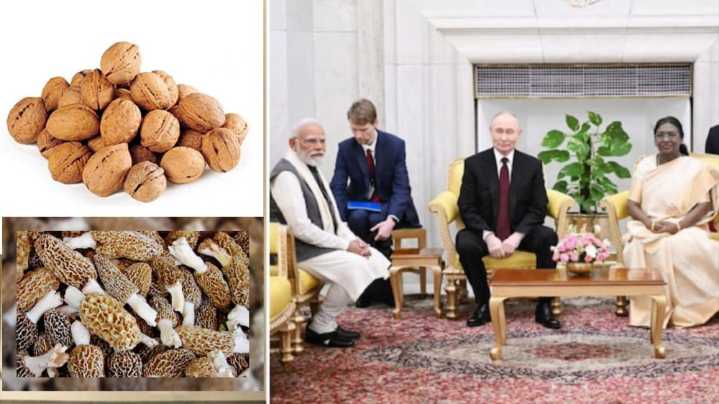 Kashmiri Gucchi, Doon Chetni Makes it to Putin’s Dinner