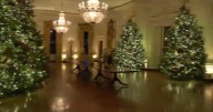 AP reporter describes walking through the White House Christmas decorations