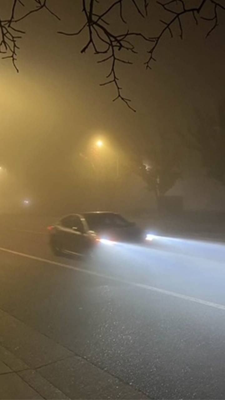 Tips for driving safely in California fog