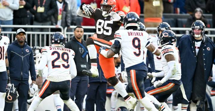 Bears vs Browns: Week 15 Live Story Stream Message Board and Fan Discussion