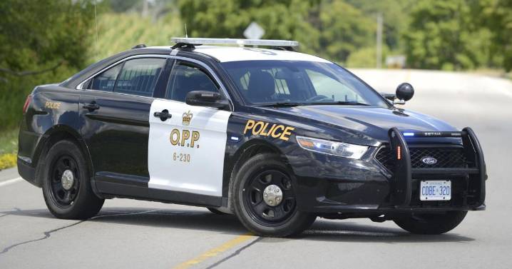 Simcoe man charged with peddling drugs, stolen goods