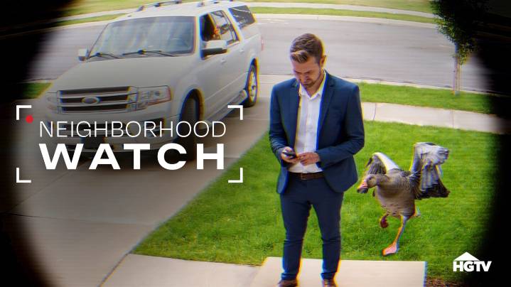 'Neighborhood Watch': Everything to Know About HGTV's New Clips Show