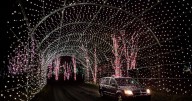 Four million lights brighten Shady Brook Farm for the holidays