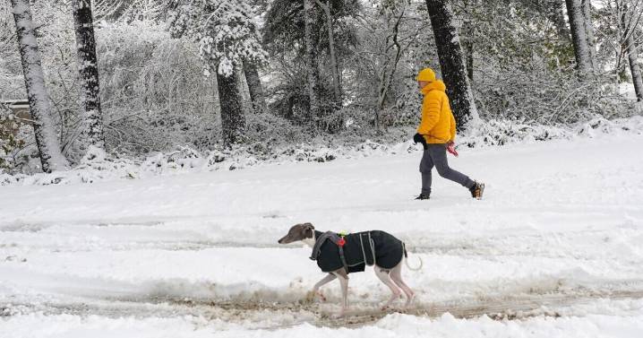 UK snow maps show huge barrage as far south as Bristol 