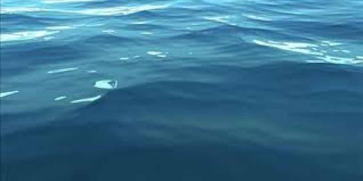 United Cajun Navy says it found Cessna plane wreckage in Lake Pontchartrain