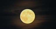 Met Office verdict on clear skies for the Cold Moon as last supermoon of 2025 rises