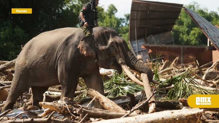 Suman 961 los muertos por las inundaciones en el oeste de Indonesia
