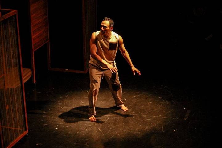 'Los perros que salvaron mi vida' aborda los "adioses" desde la perspectiva de un perro