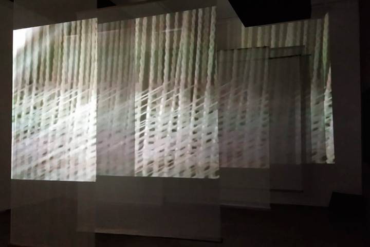 La «Luz sobre Luz» de Alexandra Meijer-Werner, por Valentina Rodríguez