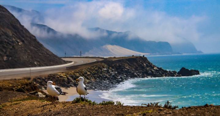 Swarm of 20 earthquakes measuring up to magnitude 3.3 rattles California