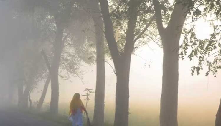 Cold Wave Sweeps Across Odisha: Rourkela Chills At 8°C