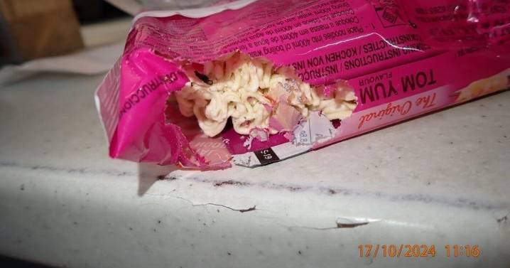 More than 50 mice found in filthy shop deemed 'immediate risk to health'