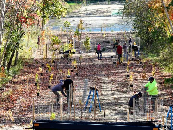 Kickemuit River shoreline restoration effort is just about complete