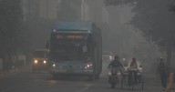 Delhi chokes under dense smog as AQI remains 'severe' even with GRAP