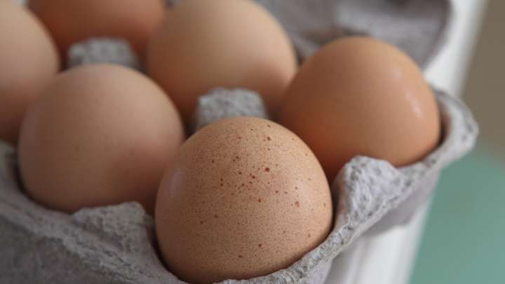 Eggs distributed in California recalled over possible…