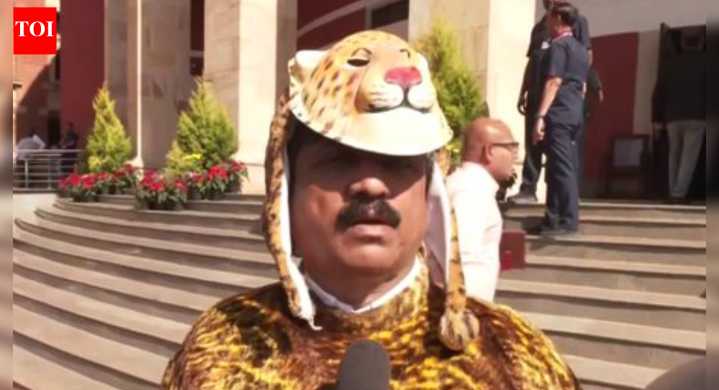 'Raising issue since 2014': Maharashtra MLA dresses up as leopard to protest rising wildlife problem