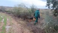 VIDEO | Buscan en Conquista del Guadiana a un hombre desaparecido