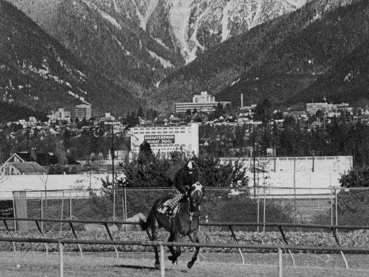 Photos: Hastings Racecourse through the years