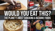 Weird foods around the world that people actually eat