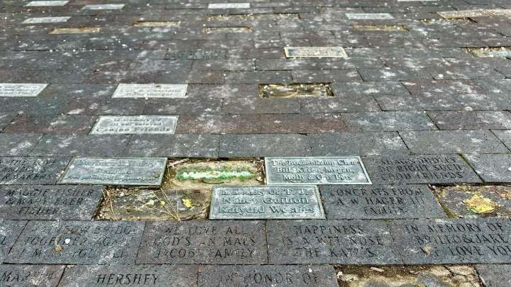 Vandals steal $19,000 in memorial plaques from humane society’s pet memorial park