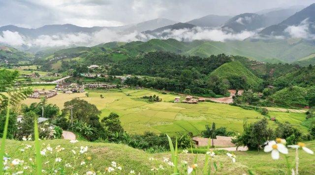 Del origen al corazón: una nueva mirada al campo colombiano