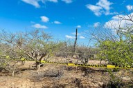 Más de 90 cuerpos recuperados: reportan nueva fosa clandestina en La Paz