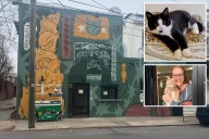 Virginia cat café shutters for rest of year after mischievous kitten floods business in 'series of freak accidents'
