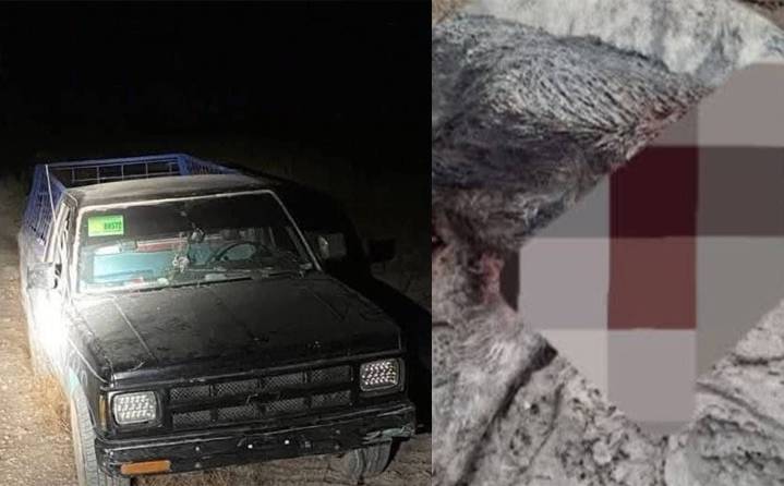 Buscan a presunto cazador furtivo en la región de los Cinco Manantiales