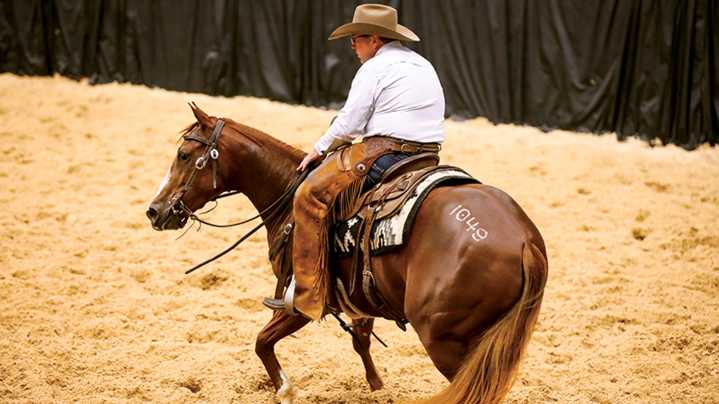 Got an extra $100K lying around? It *might* be enough for a horse at this Fort Worth sale