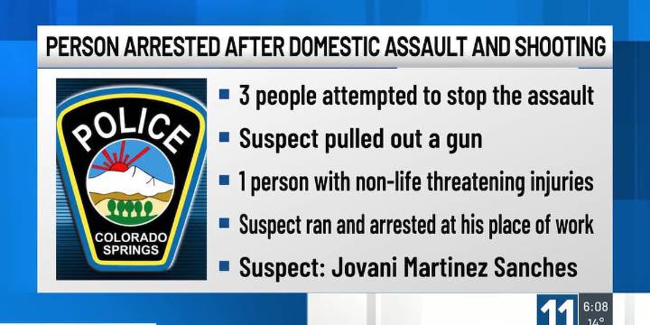 WATCH: Person arrested after domestic assault and shooting