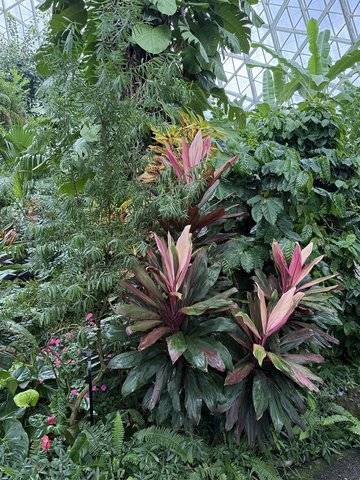 Many benefits from time in nature