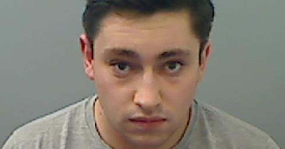 Gaming-obsessed North East paedophile who stabbed schoolgirl in back appeals 43
