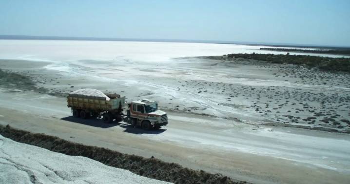 Nuevo sistema digital para las mineras en Río Negro: ¿En qué consiste la plataforma de guías de tránsito?