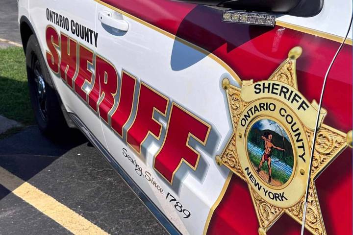 4 Dead Cats Found in Freezer and 17 Live Animals Recovered After Complaint About Home's 'Unsanitary' Conditions