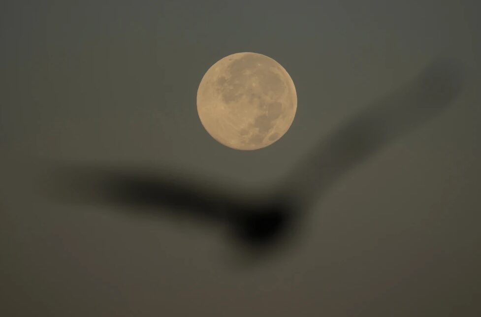 How to watch the last supermoon of the year