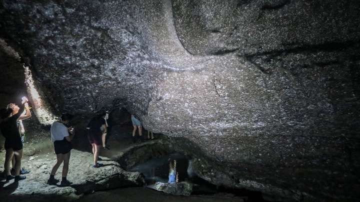 Hallan una megacolonia de 111.000 arañas en una red gigante bajo tierra