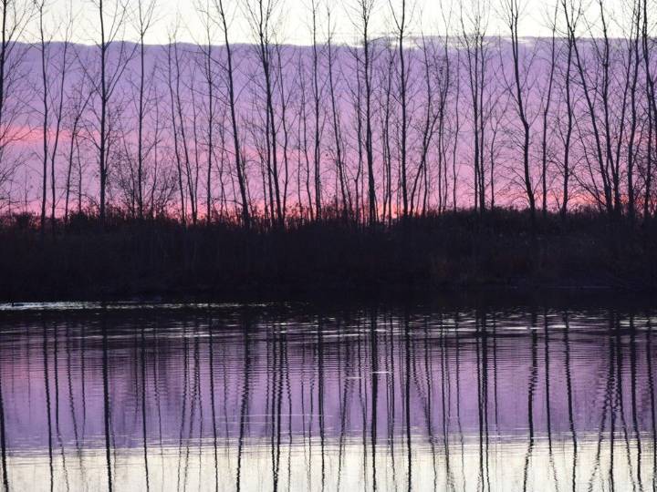 PHOTOS: Londoner's weekly moment in time