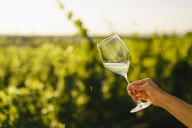 Wineries demand $50M settlement from Peninsula Township by next September