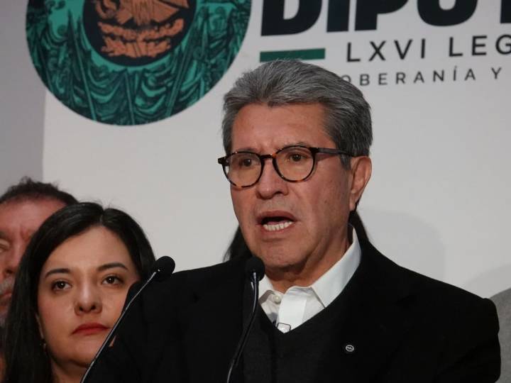 Reforma electoral podría votarse en enero