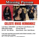 Google’s most-searched pop culture terms of 2025, explained